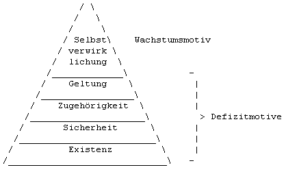 Die Maslowsche Bedürfnispyramide